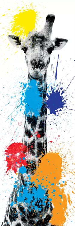 Giraffe V by Philippe Hugonnard wall art