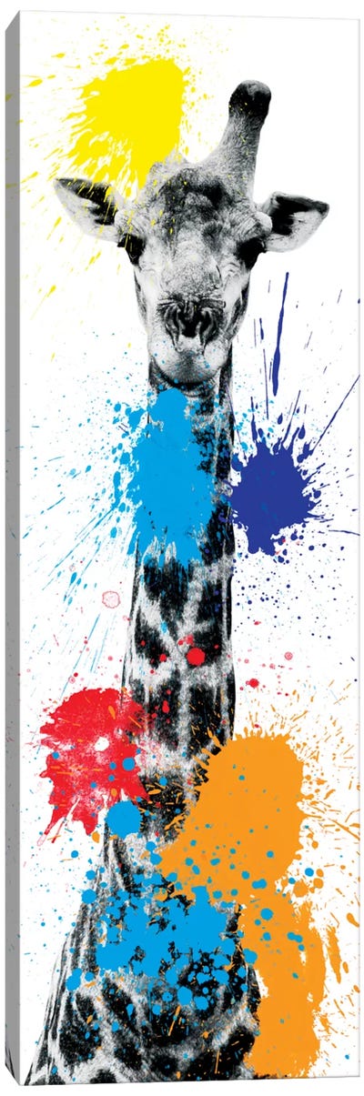Giraffe V Canvas Art Print - Color Pop Photography