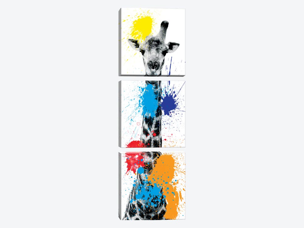 Giraffe V by Philippe Hugonnard 3-piece Canvas Artwork