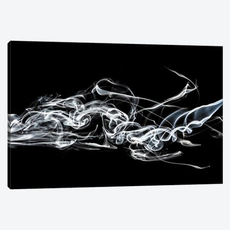 Abstract White Smoke - Shark Canvas Print #PHD2331} by Philippe Hugonnard Canvas Art Print
