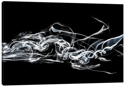 Abstract White Smoke - Shark Canvas Art Print - Abstract Smoke