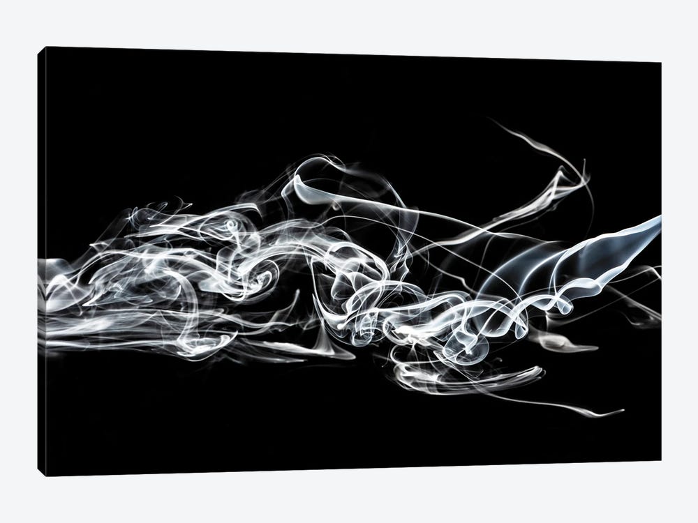 Abstract White Smoke - Shark by Philippe Hugonnard 1-piece Canvas Artwork