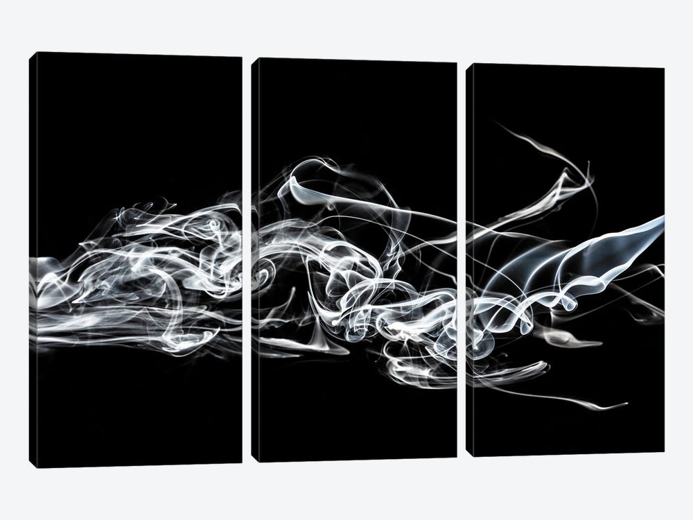 Abstract White Smoke - Shark by Philippe Hugonnard 3-piece Canvas Artwork