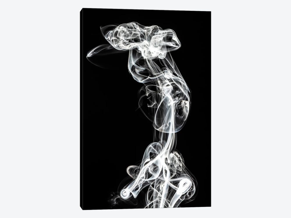 Abstract White Smoke - Chimera Woman by Philippe Hugonnard 1-piece Canvas Art Print