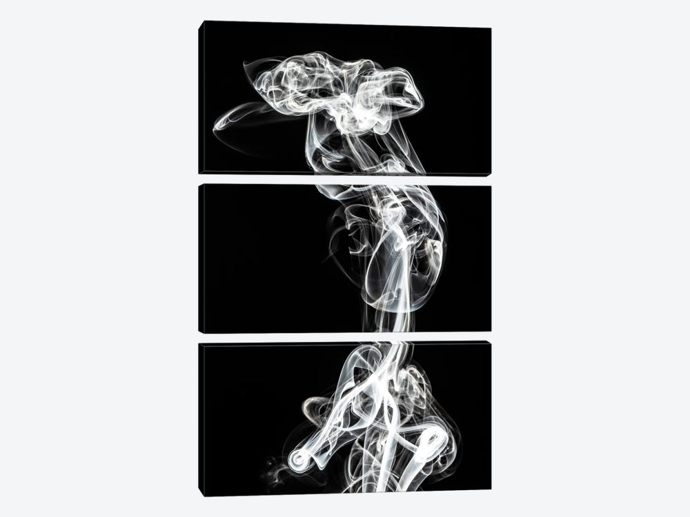 Abstract White Smoke - Chimera Woman by Philippe Hugonnard 3-piece Canvas Art Print