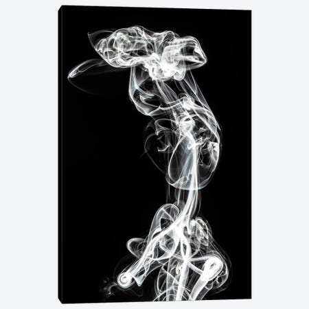 Abstract White Smoke - Chimera Woman Canvas Print #PHD2332} by Philippe Hugonnard Canvas Print