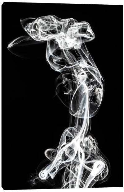 Abstract White Smoke - Chimera Woman Canvas Art Print - Abstract Smoke