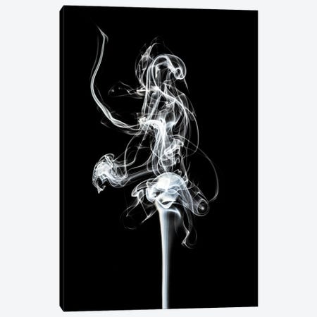 Abstract White Smoke - Prima Ballerina Canvas Print #PHD2333} by Philippe Hugonnard Canvas Print