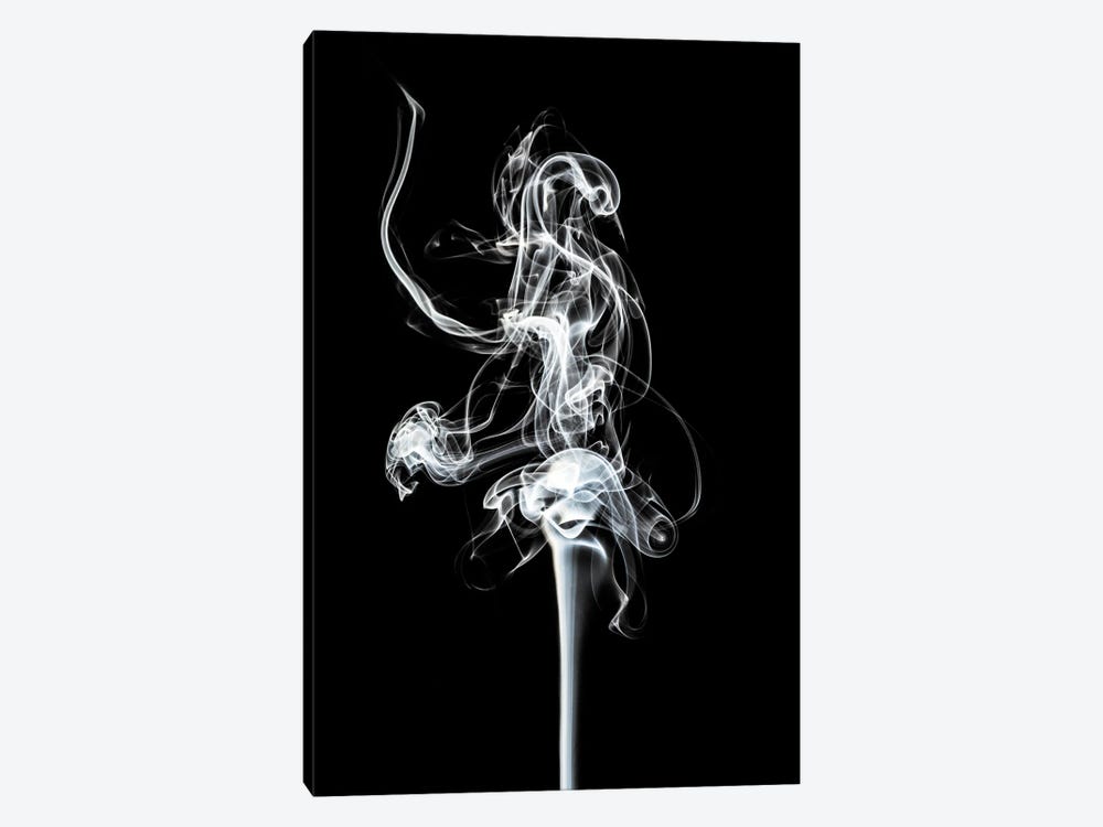 Abstract White Smoke - Prima Ballerina by Philippe Hugonnard 1-piece Canvas Wall Art