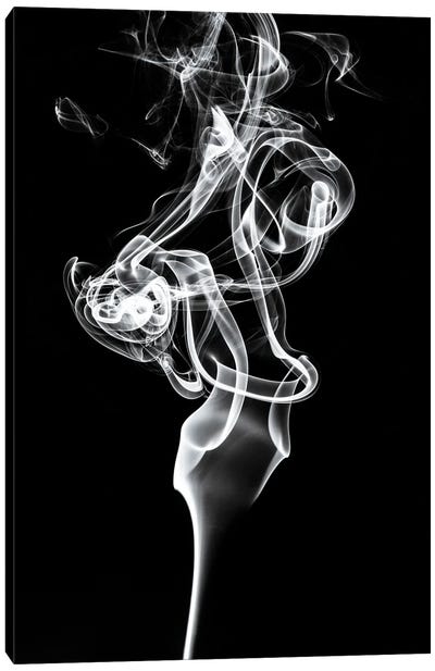 Abstract White Smoke - Tulip Dream Canvas Art Print - Abstract Smoke