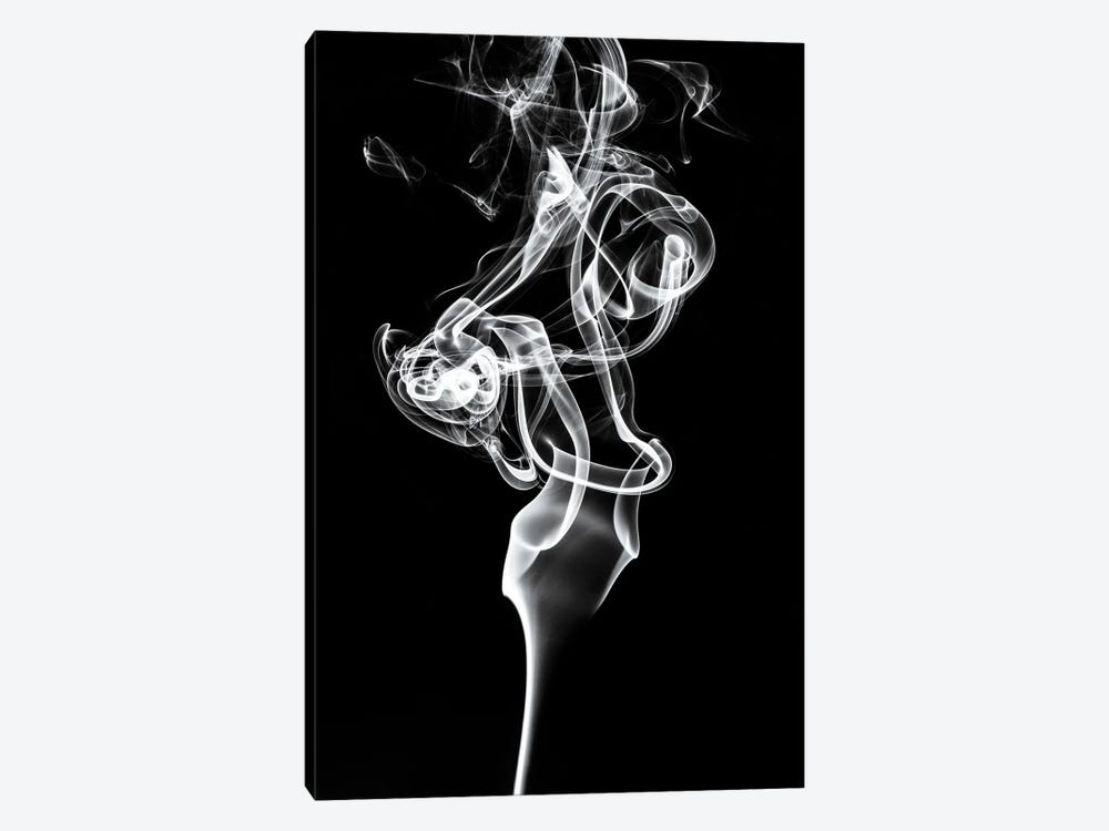 Abstract White Smoke - Tulip Dream by Philippe Hugonnard 1-piece Art Print
