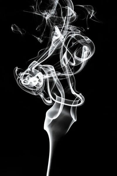 Abstract White Smoke - Tulip Dream