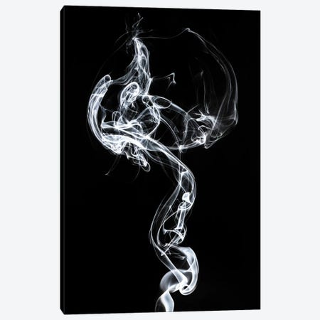 Abstract White Smoke - Medusa Canvas Print #PHD2335} by Philippe Hugonnard Canvas Art