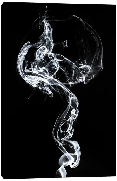 Abstract White Smoke - Medusa Canvas Art Print - Abstract Smoke