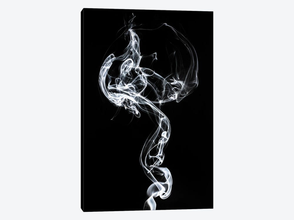 Abstract White Smoke - Medusa by Philippe Hugonnard 1-piece Canvas Wall Art