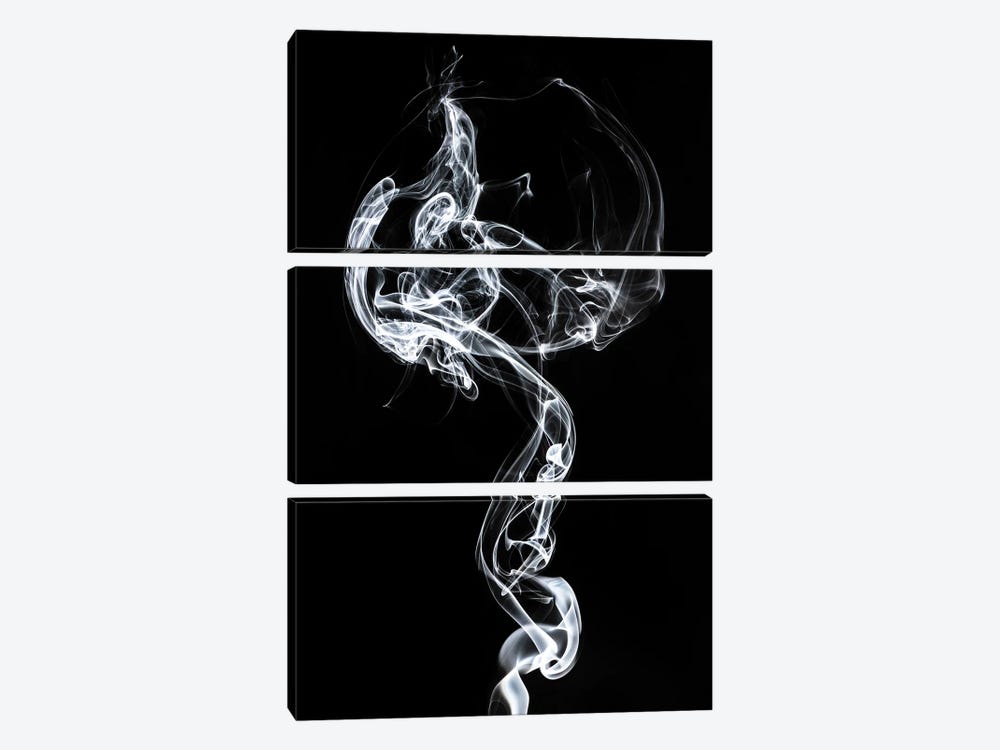 Abstract White Smoke - Medusa by Philippe Hugonnard 3-piece Canvas Art