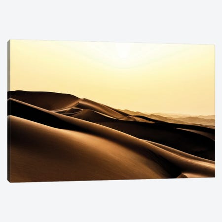 Wild Sand Dunes - Desert Sunset Canvas Print #PHD2336} by Philippe Hugonnard Canvas Wall Art