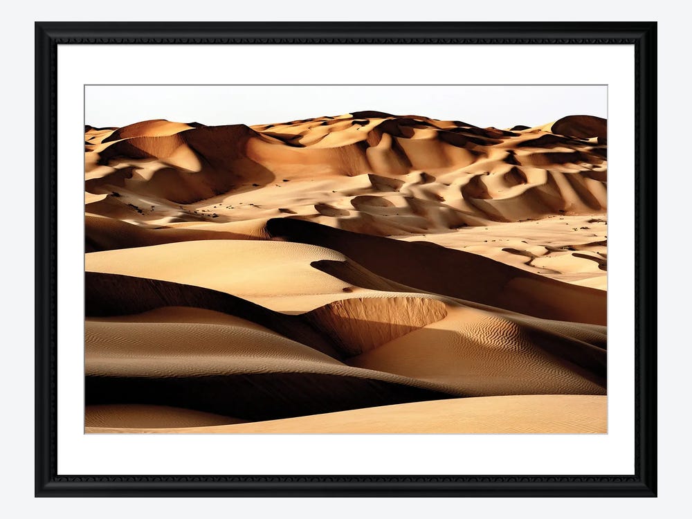 Canvas print Wild Sand Dunes - Desert