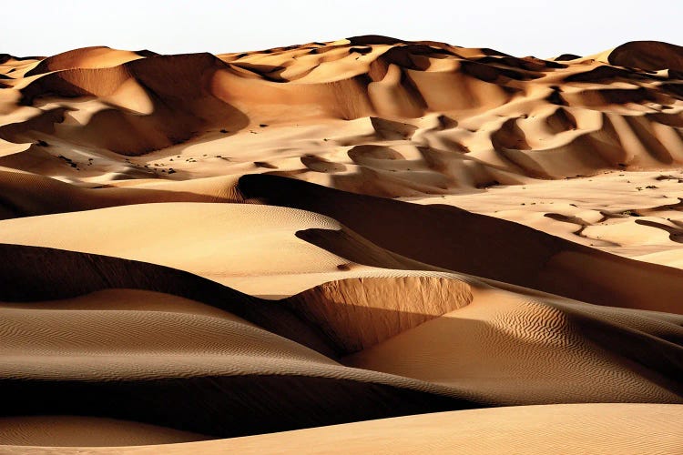 Wild Sand Dunes - Desert