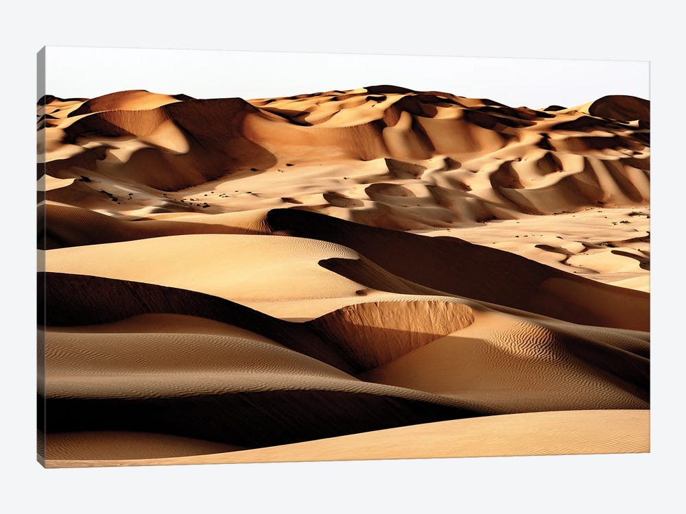 Wild Sand Dunes - Desert by Philippe Hugonnard 1-piece Canvas Artwork