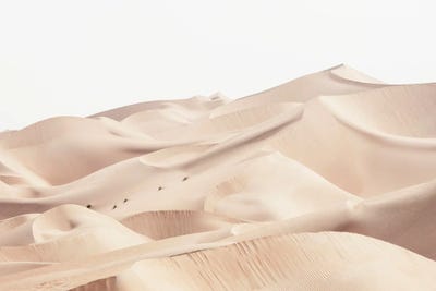 Wild Sand Dunes - Desert Skin by Philippe Hugonnard canvas print