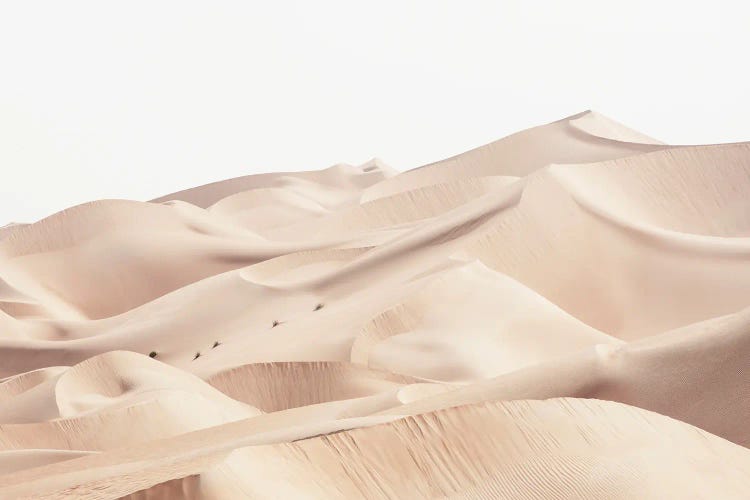 Wild Sand Dunes - Desert Skin