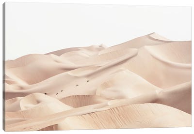 Wild Sand Dunes - Desert Skin Canvas Art Print - Wild Sand Dunes