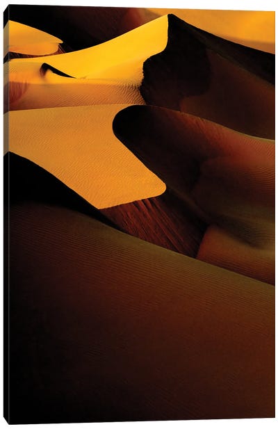 Wild Sand Dunes - Sunset Shadow Canvas Art Print - Wild Sand Dunes