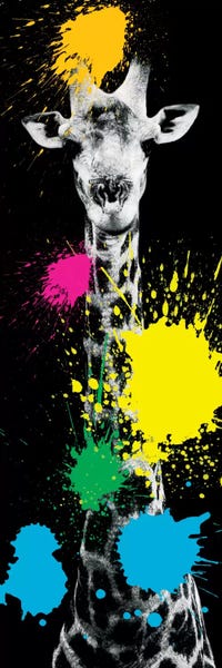 Color Pop Photography: Giraffe VI by Philippe Hugonnard