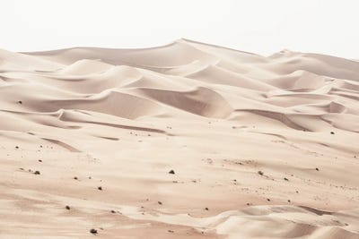 Wild Sand Dunes - Desert Linen by Philippe Hugonnard canvas print