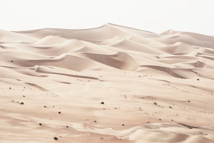 Wild Sand Dunes - Desert Linen