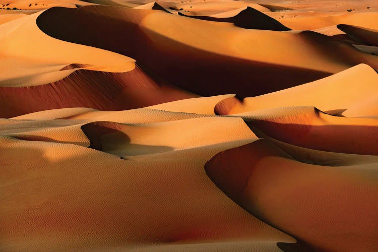 Wild Sand Dunes - Sandy Brown