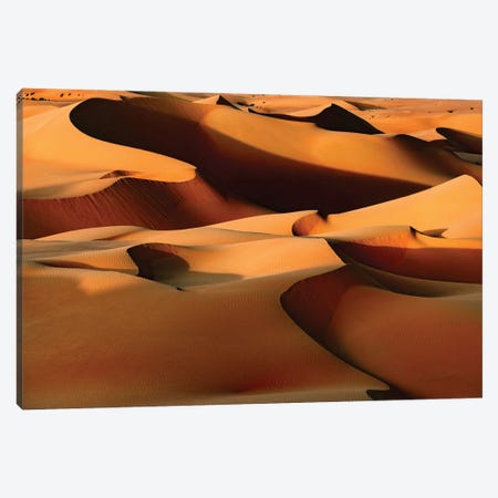 Wild Sand Dunes - Sandy Brown Canvas Print #PHD2341} by Philippe Hugonnard Canvas Artwork