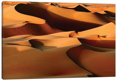 Wild Sand Dunes - Sandy Brown Canvas Art Print - Wild Sand Dunes