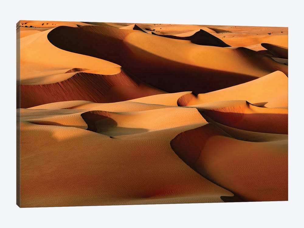 Wild Sand Dunes - Sandy Brown by Philippe Hugonnard 1-piece Canvas Print