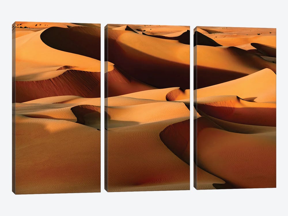Wild Sand Dunes - Sandy Brown by Philippe Hugonnard 3-piece Canvas Print