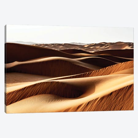 Wild Sand Dunes - End Of The Day Canvas Print #PHD2343} by Philippe Hugonnard Canvas Art