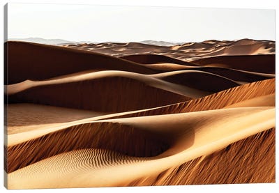 Wild Sand Dunes - End Of The Day Canvas Art Print - Natural Elements