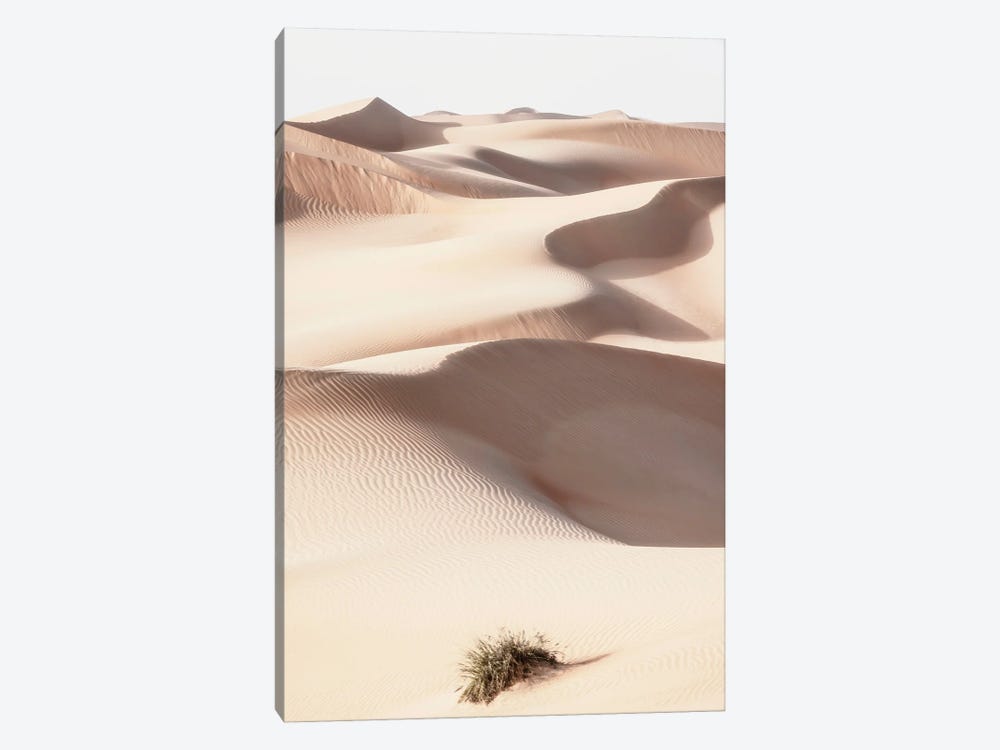 Wild Sand Dunes - Skin Sand by Philippe Hugonnard 1-piece Canvas Artwork