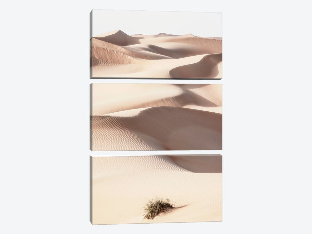 Wild Sand Dunes - Skin Sand by Philippe Hugonnard 3-piece Canvas Wall Art