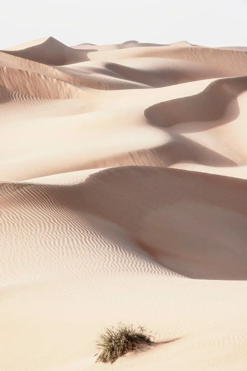 Wild Sand Dunes - Skin Sand