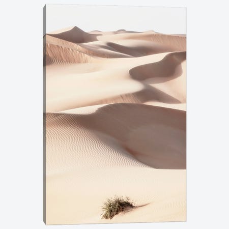 Wild Sand Dunes - Skin Sand Canvas Print #PHD2344} by Philippe Hugonnard Art Print