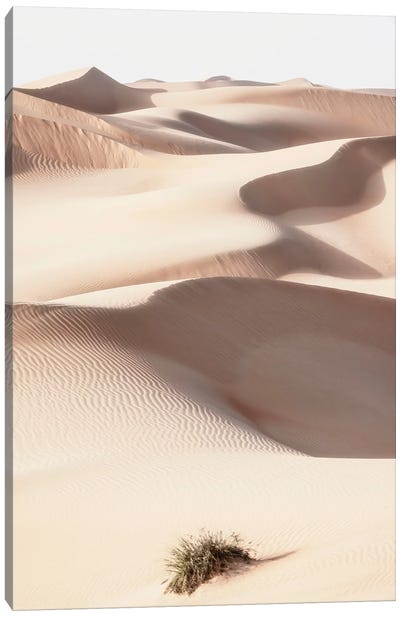 Wild Sand Dunes - Skin Sand Canvas Art Print - Wild Sand Dunes