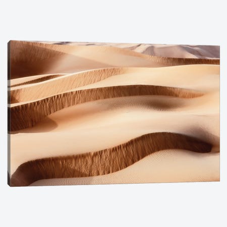Wild Sand Dunes - Sand Waves Canvas Print #PHD2345} by Philippe Hugonnard Canvas Print