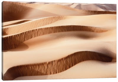 Wild Sand Dunes - Sand Waves Canvas Art Print - Wild Sand Dunes