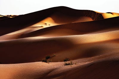 Wild Sand Dunes - Between Shadow And Light by Philippe Hugonnard canvas print