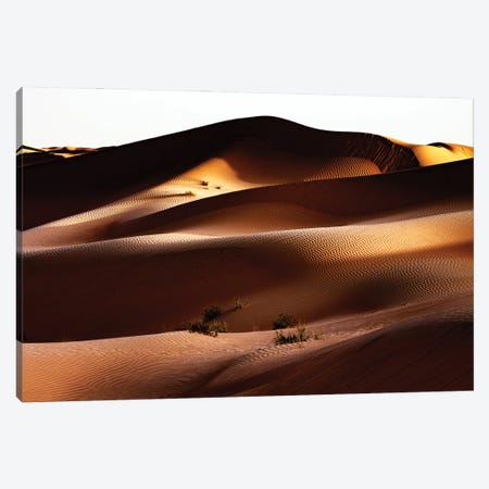 Wild Sand Dunes - Between Shadow And Light Canvas Print #PHD2346} by Philippe Hugonnard Canvas Art Print