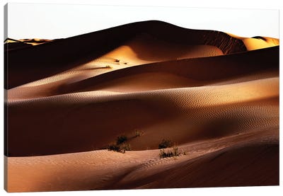 Wild Sand Dunes - Between Shadow And Light Canvas Art Print - Wild Sand Dunes