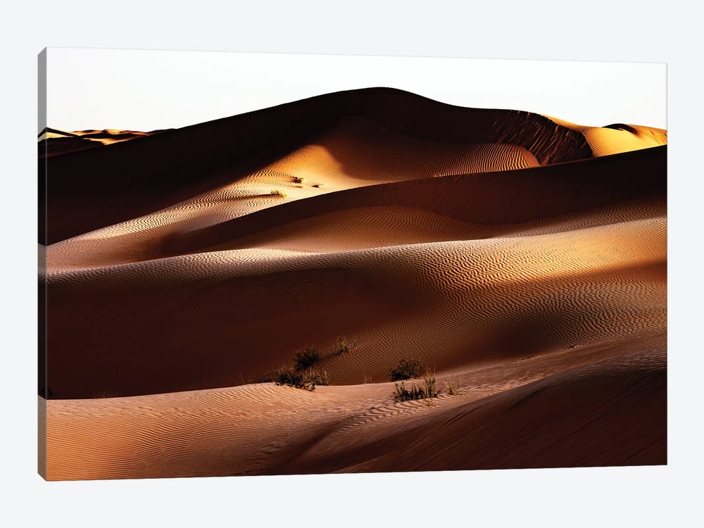 Wild Sand Dunes - Between Shadow And Light by Philippe Hugonnard 1-piece Canvas Wall Art
