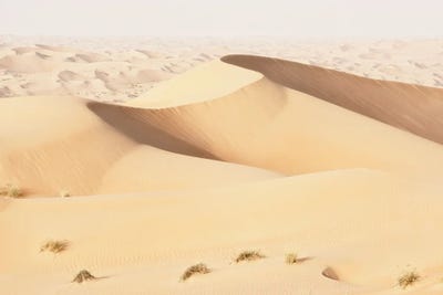 Wild Sand Dunes - Topaz Desert by Philippe Hugonnard canvas print